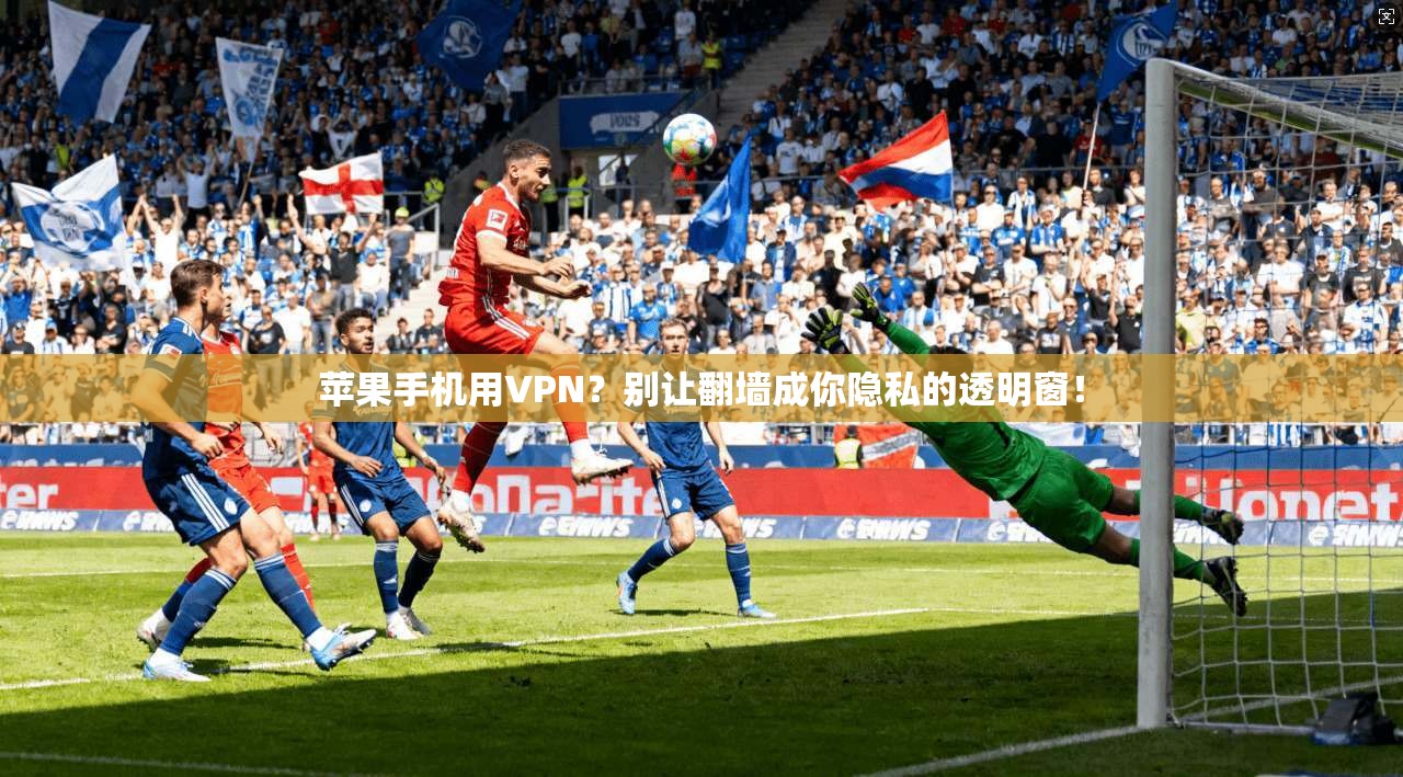 苹果手机用VPN?别让翻墙成你隐私的透明窗!