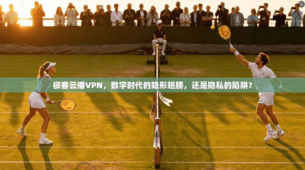 极客云播VPN,数字时代的隐形翅膀,还是隐私的陷阱?