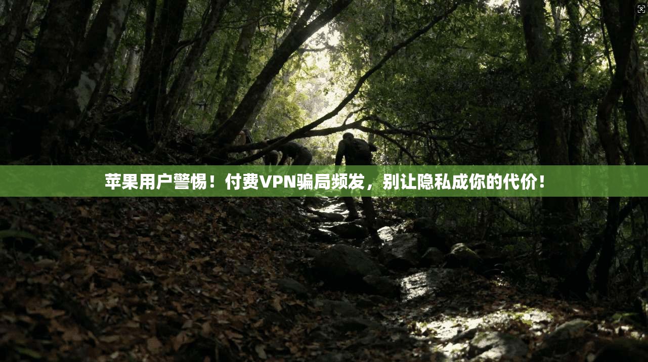 苹果用户警惕！付费VPN骗局频发，别让隐私成你的代价！