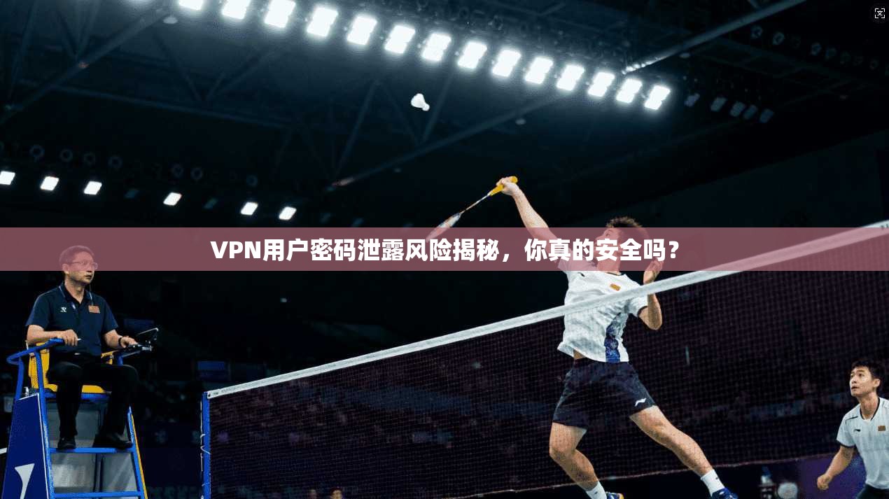 VPN用户密码泄露风险揭秘,你真的安全吗?