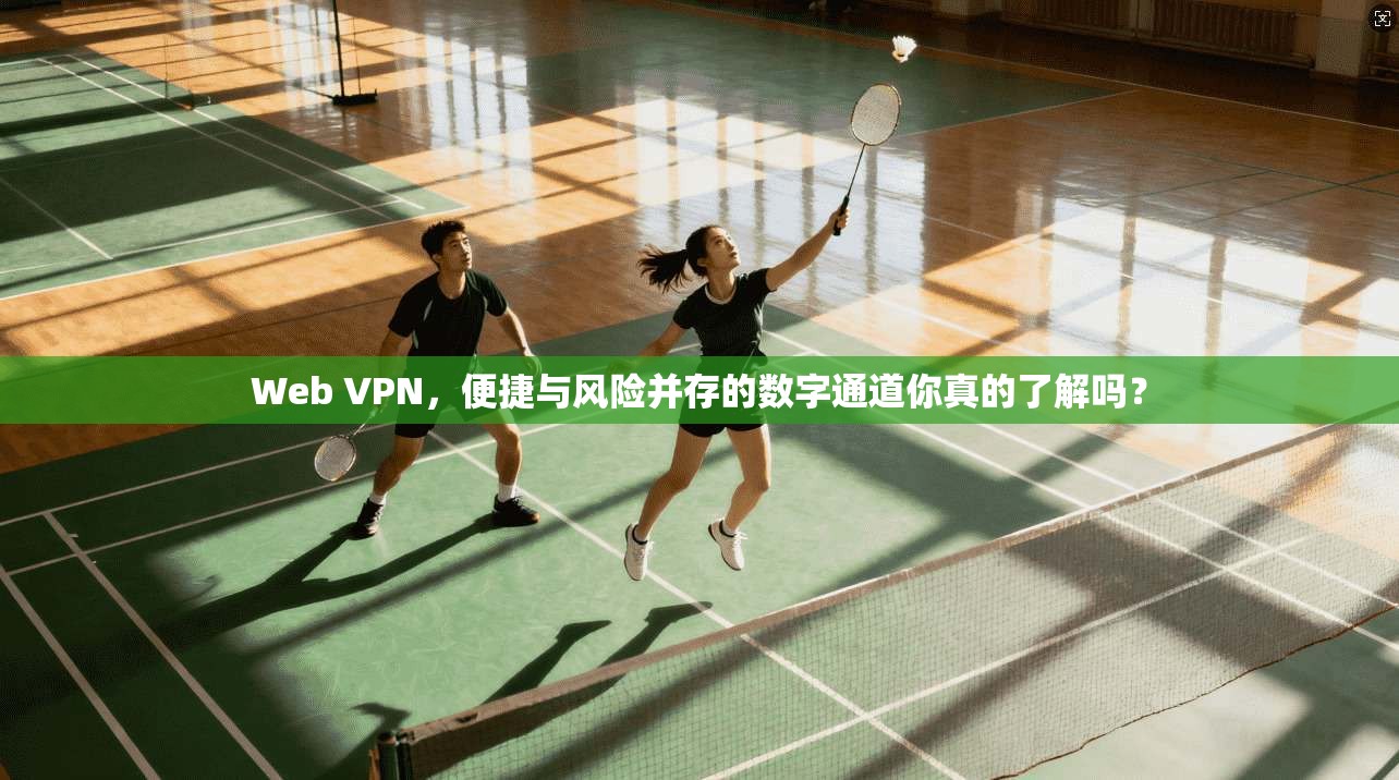 Web VPN，便捷与风险并存的数字通道你真的了解吗？