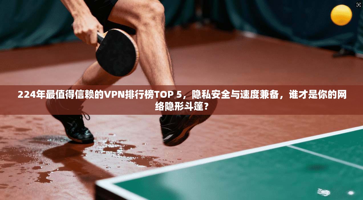 224年最值得信赖的VPN排行榜TOP 5，隐私安全与速度兼备，谁才是你的网络隐形斗篷？