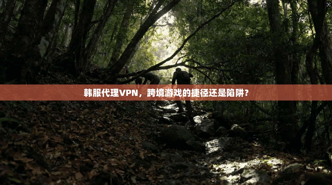 韩服代理VPN，跨境游戏的捷径还是陷阱？