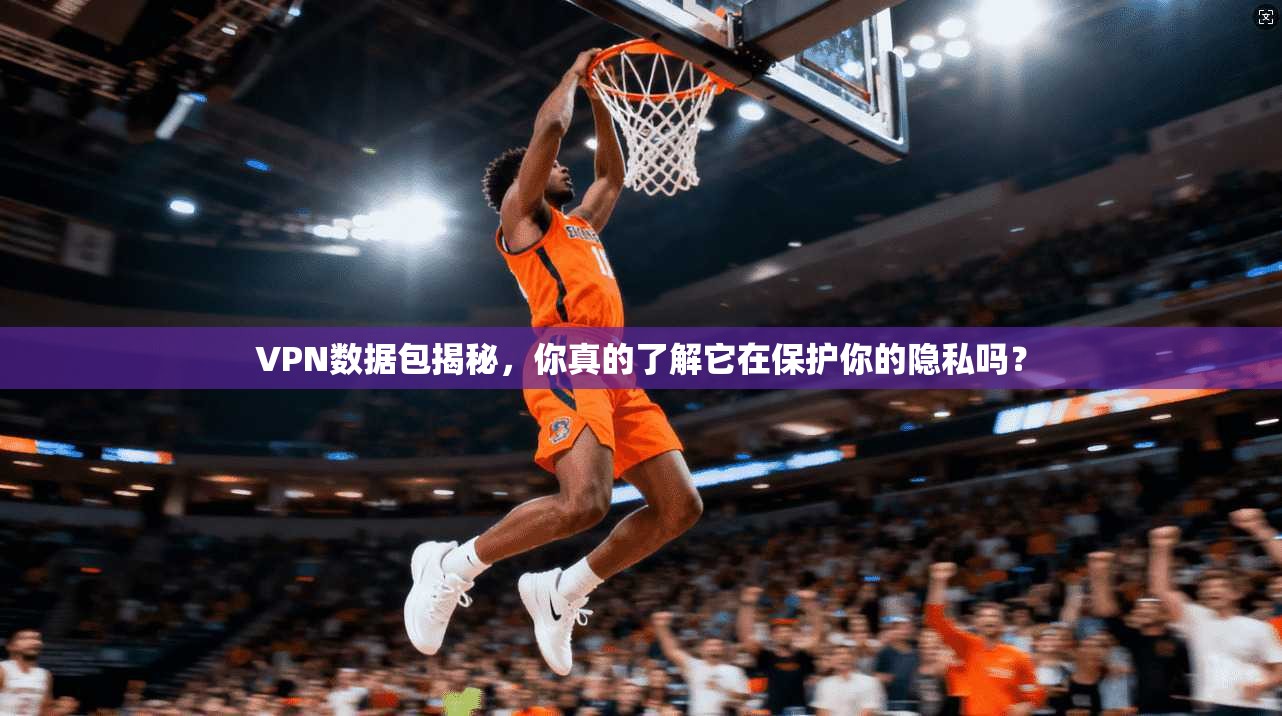 VPN数据包揭秘，你真的了解它在保护你的隐私吗？