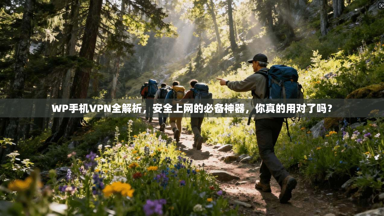WP手机VPN全解析，安全上网的必备神器，你真的用对了吗？