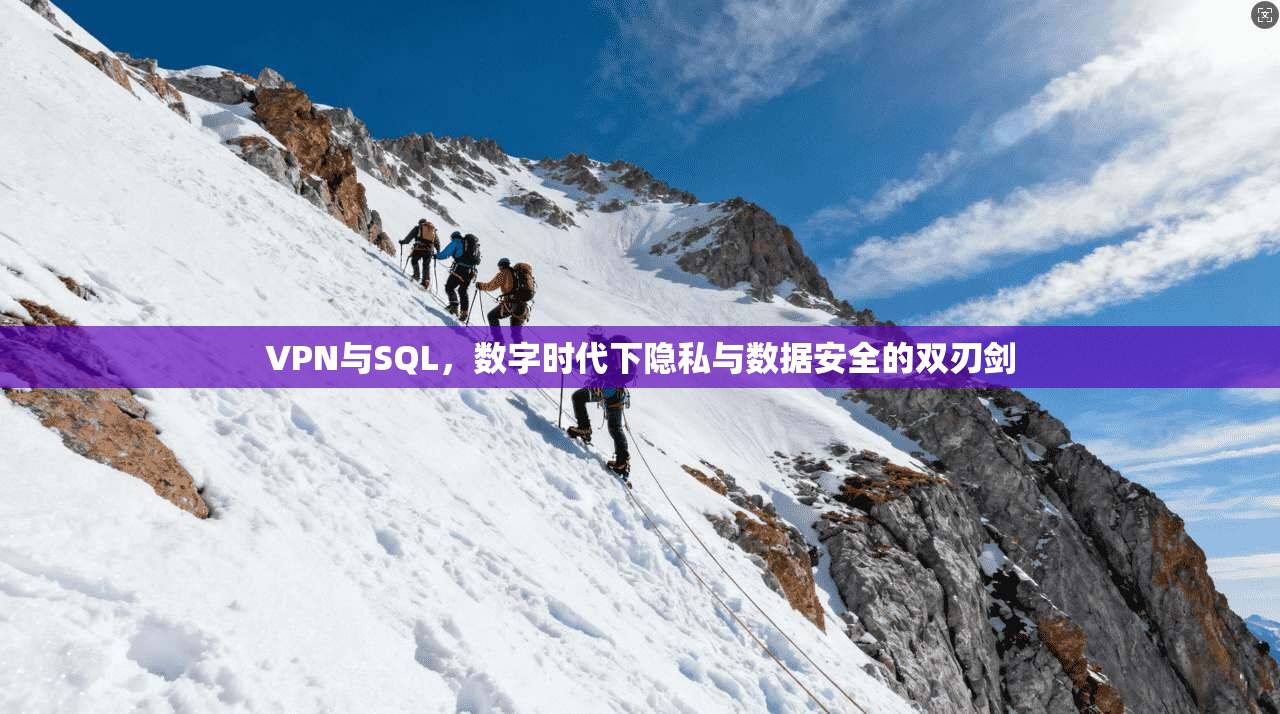 VPN与SQL，数字时代下隐私与数据安全的双刃剑