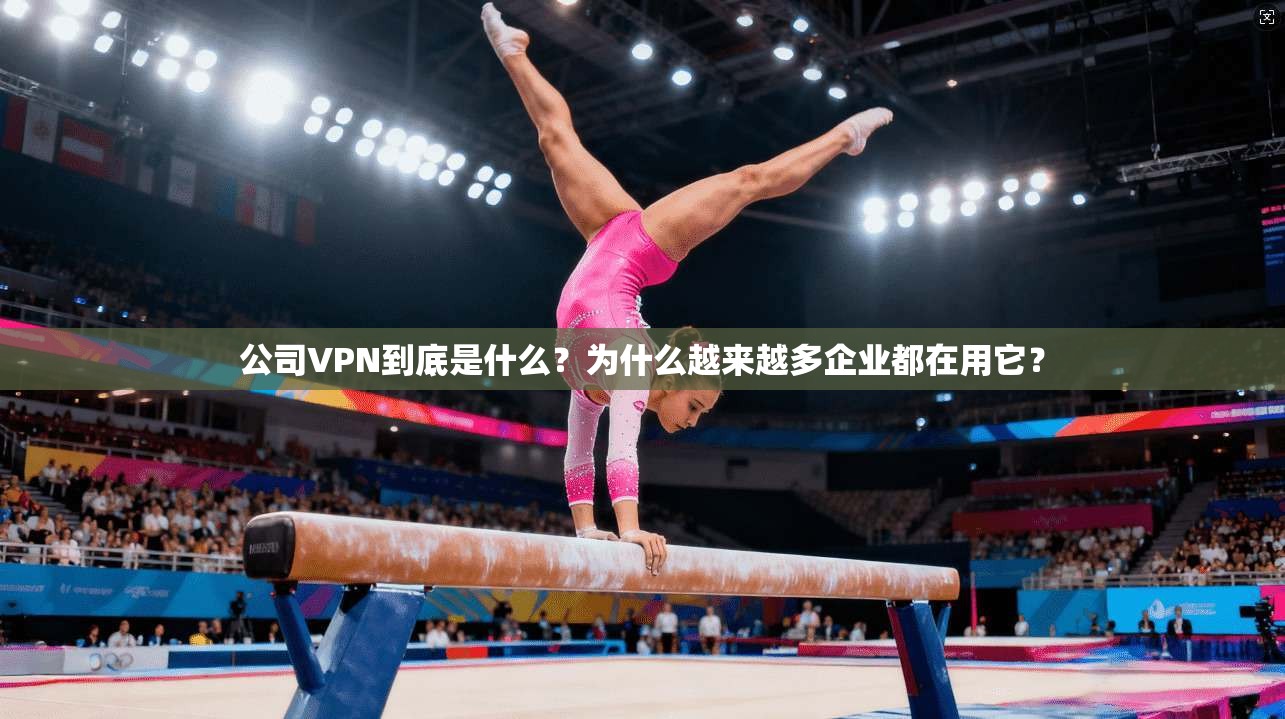 公司VPN到底是什么？为什么越来越多企业都在用它？