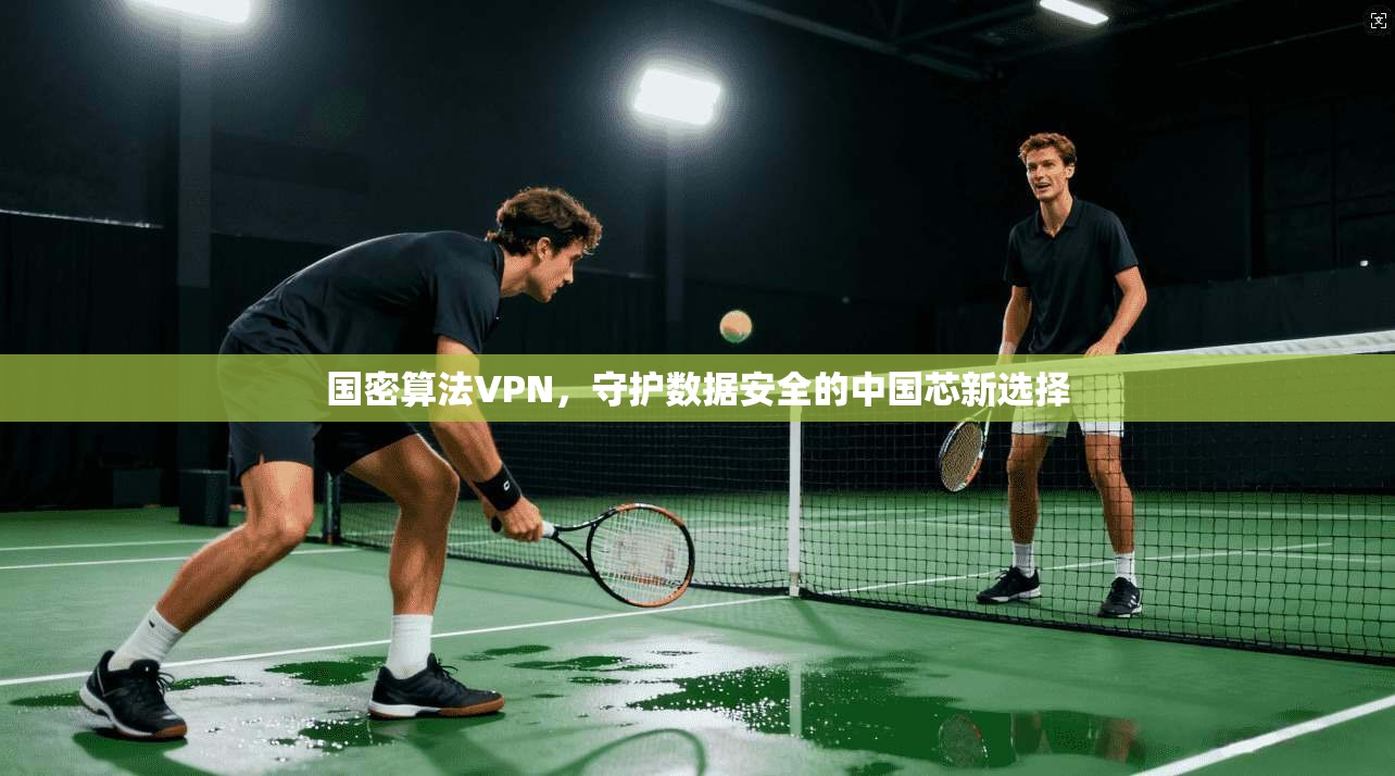 国密算法VPN，守护数据安全的中国芯新选择
