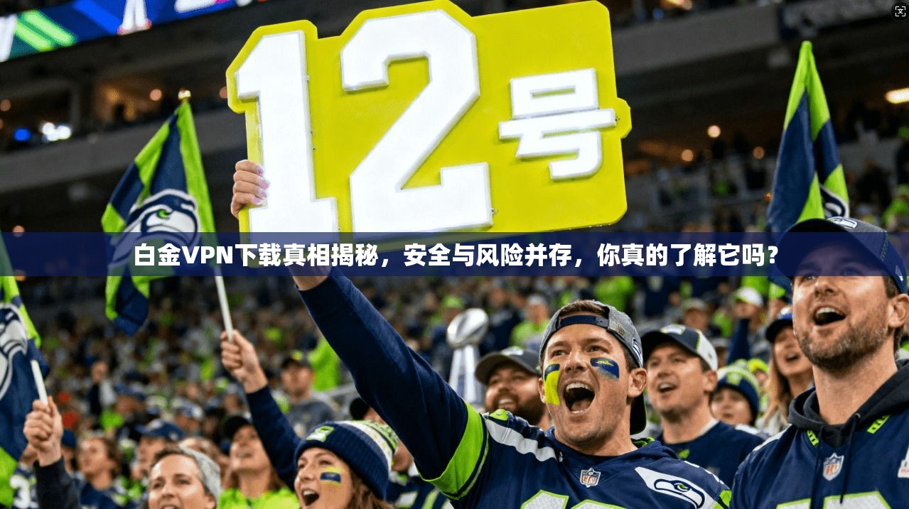 白金VPN下载真相揭秘，安全与风险并存，你真的了解它吗？