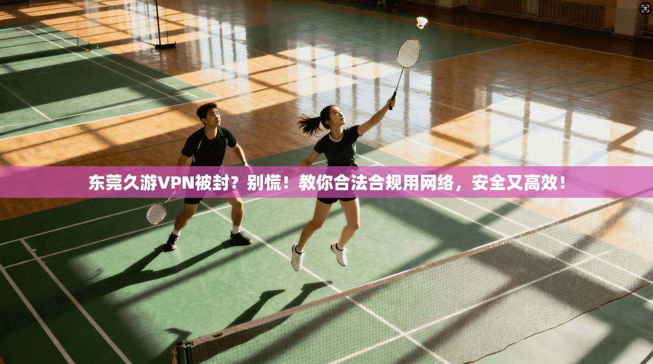 东莞久游VPN被封?别慌!教你合法合规用网络,安全又高效! 东莞久游VPN被封?别慌!教你合法合规用网络,安全又高效!