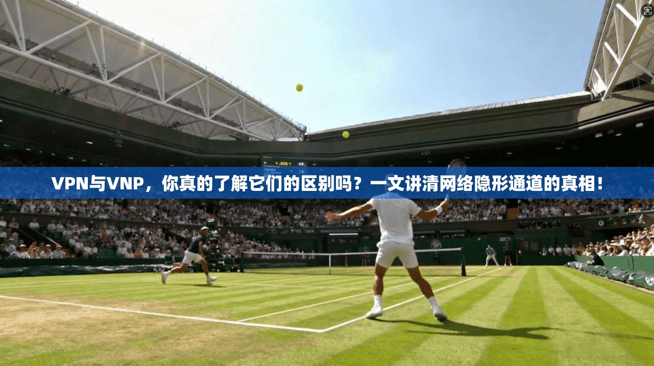 VPN与VNP,你真的了解它们的区别吗?一文讲清网络隐形通道的真相!