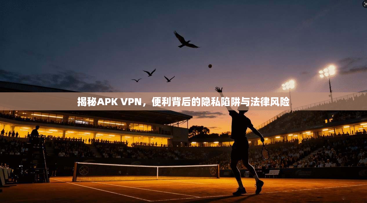 揭秘APK VPN,便利背后的隐私陷阱与法律风险