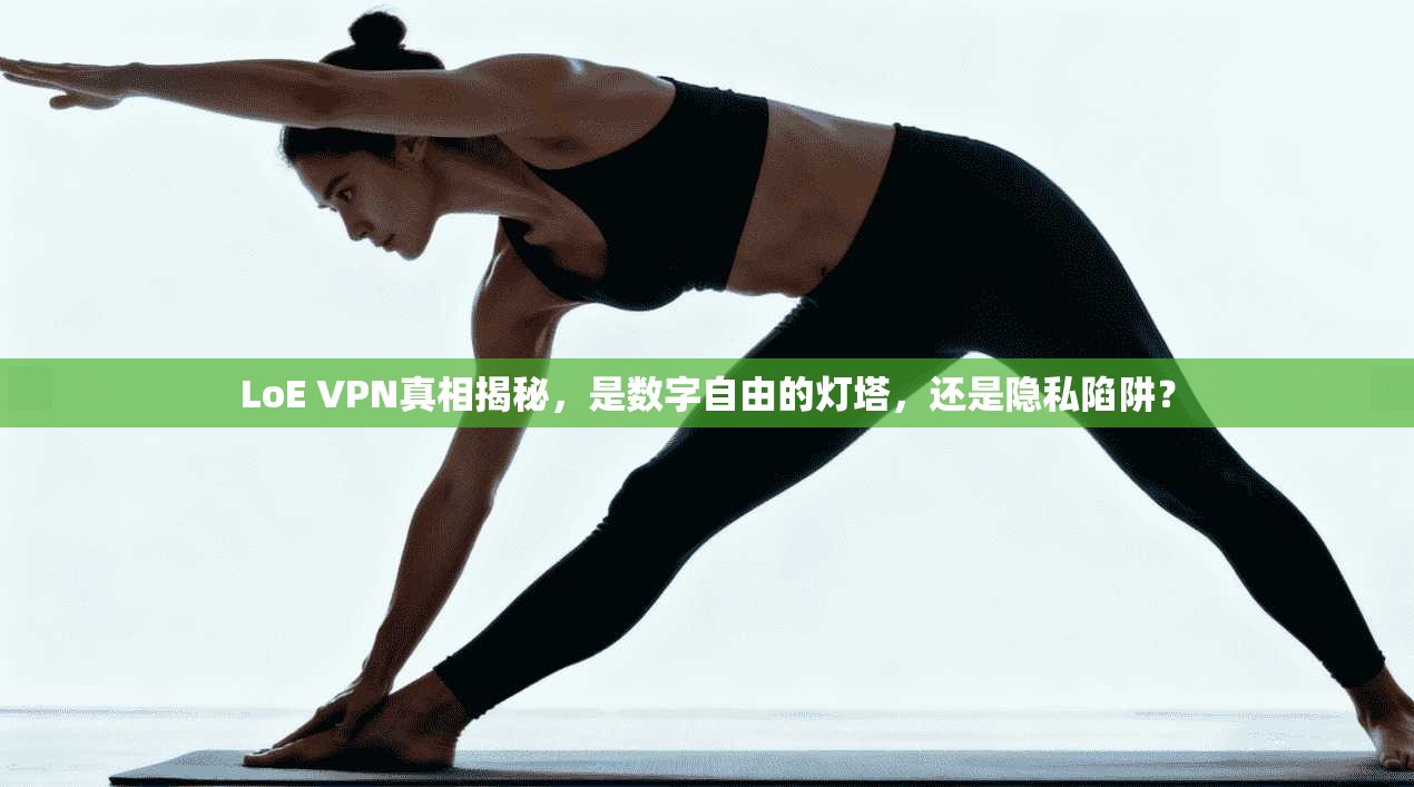 LoE VPN真相揭秘，是数字自由的灯塔，还是隐私陷阱？