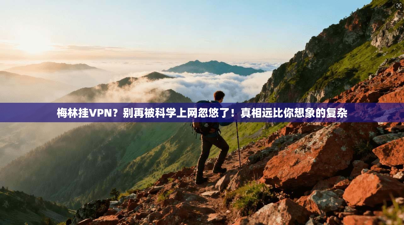 梅林挂VPN？别再被科学上网忽悠了！真相远比你想象的复杂