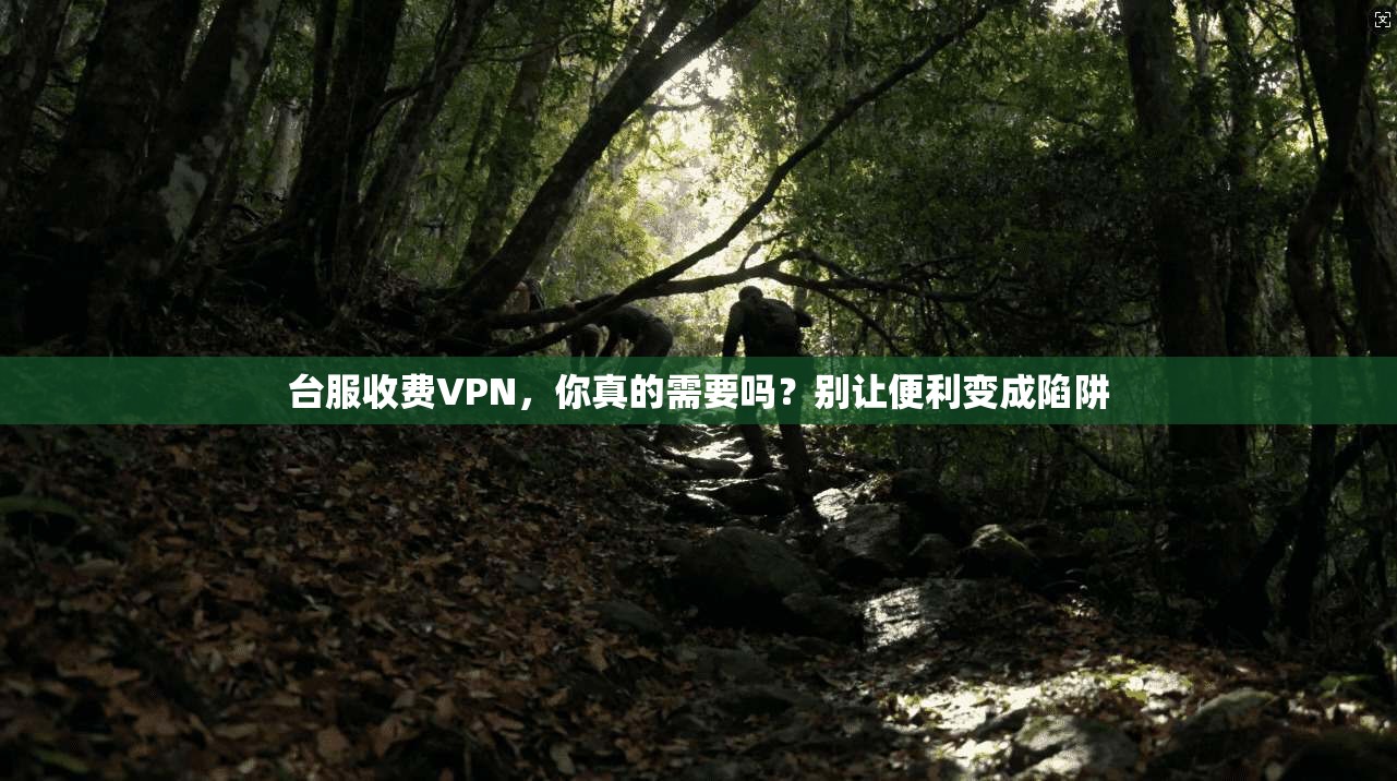 台服收费VPN，你真的需要吗？别让便利变成陷阱