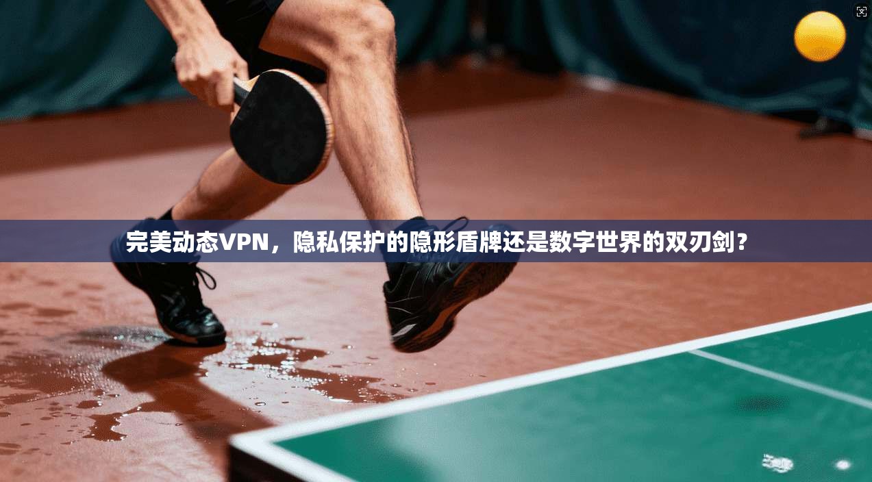 完美动态VPN，隐私保护的隐形盾牌还是数字世界的双刃剑？