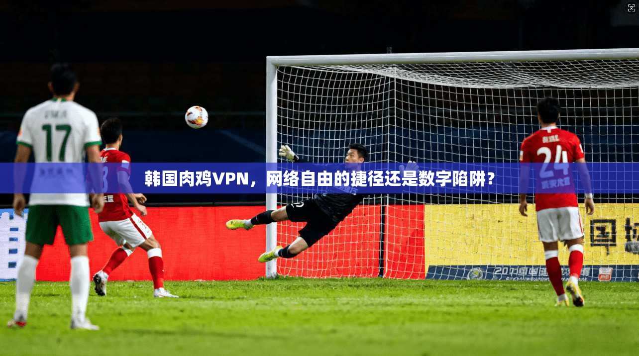 韩国肉鸡VPN，网络自由的捷径还是数字陷阱？