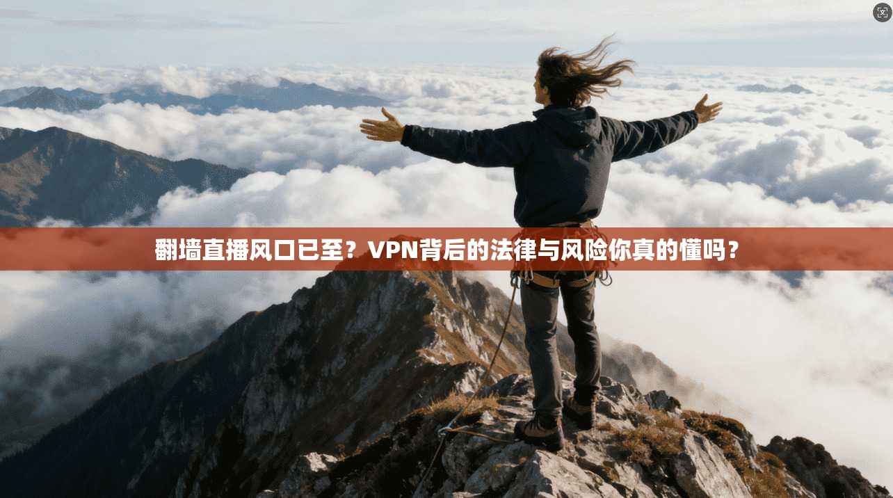 翻墙直播风口已至?VPN背后的法律与风险你真的懂吗?