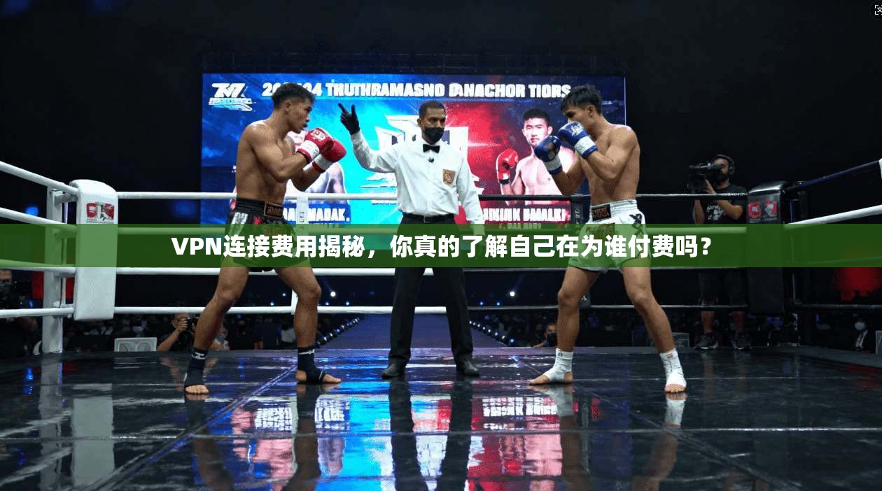VPN连接费用揭秘,你真的了解自己在为谁付费吗?