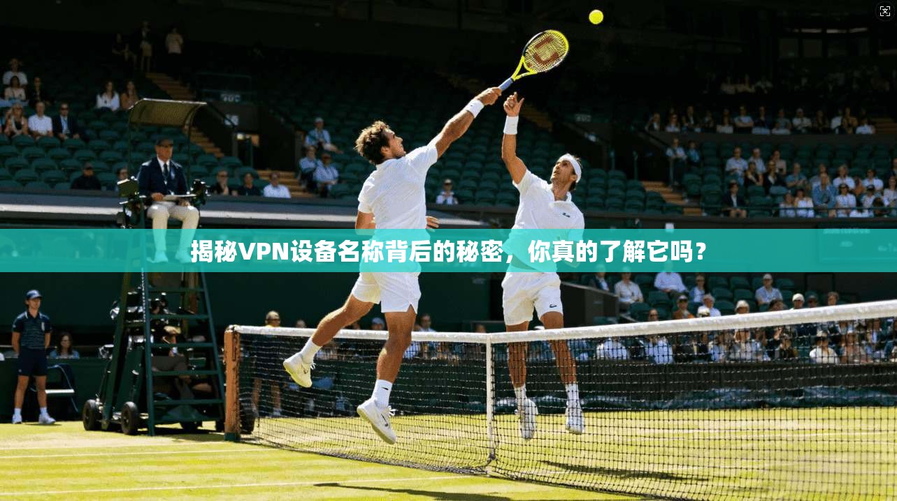 揭秘VPN设备名称背后的秘密,你真的了解它吗?