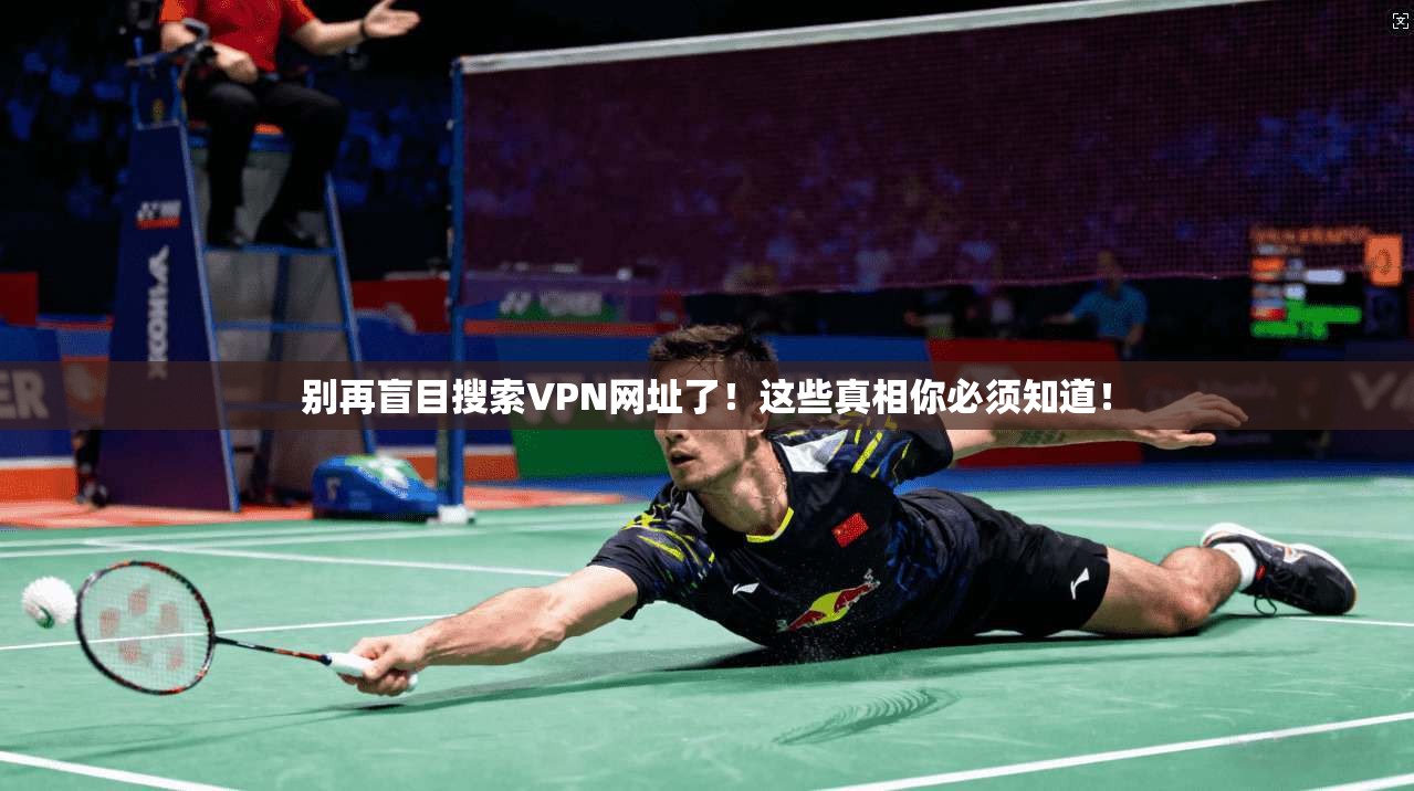 别再盲目搜索VPN网址了！这些真相你必须知道！