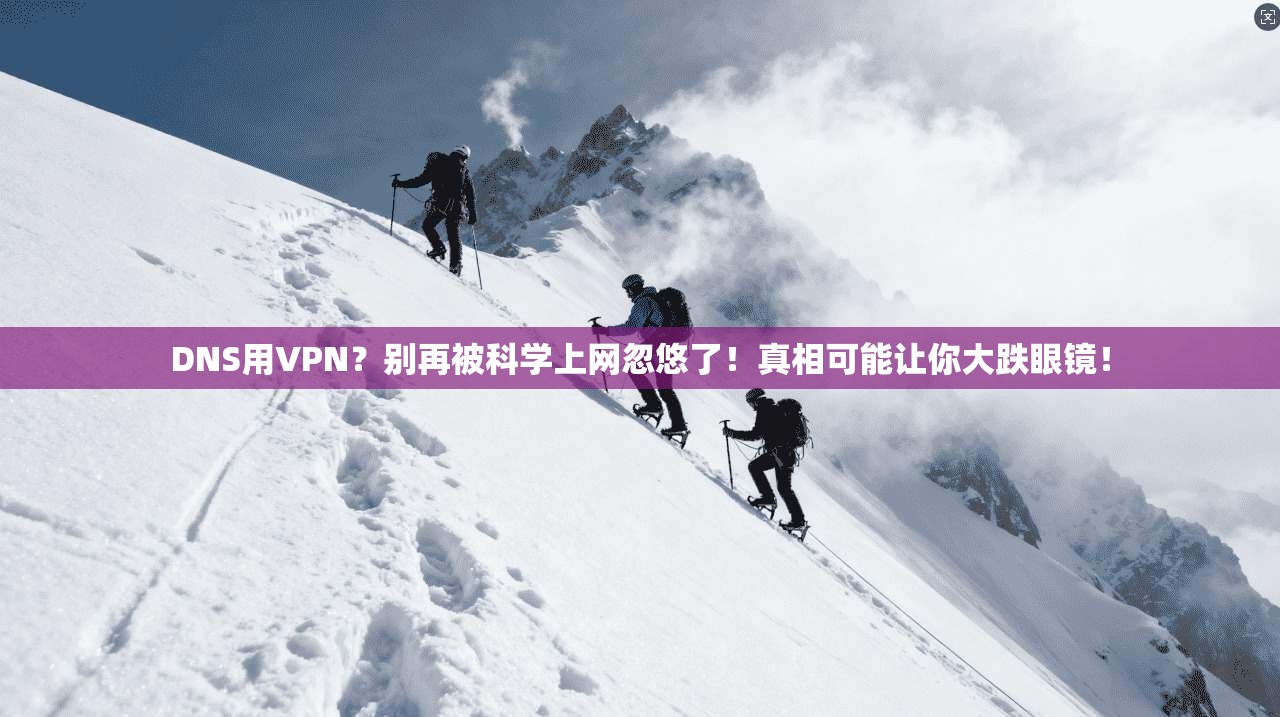 DNS用VPN?别再被科学上网忽悠了!真相可能让你大跌眼镜!
