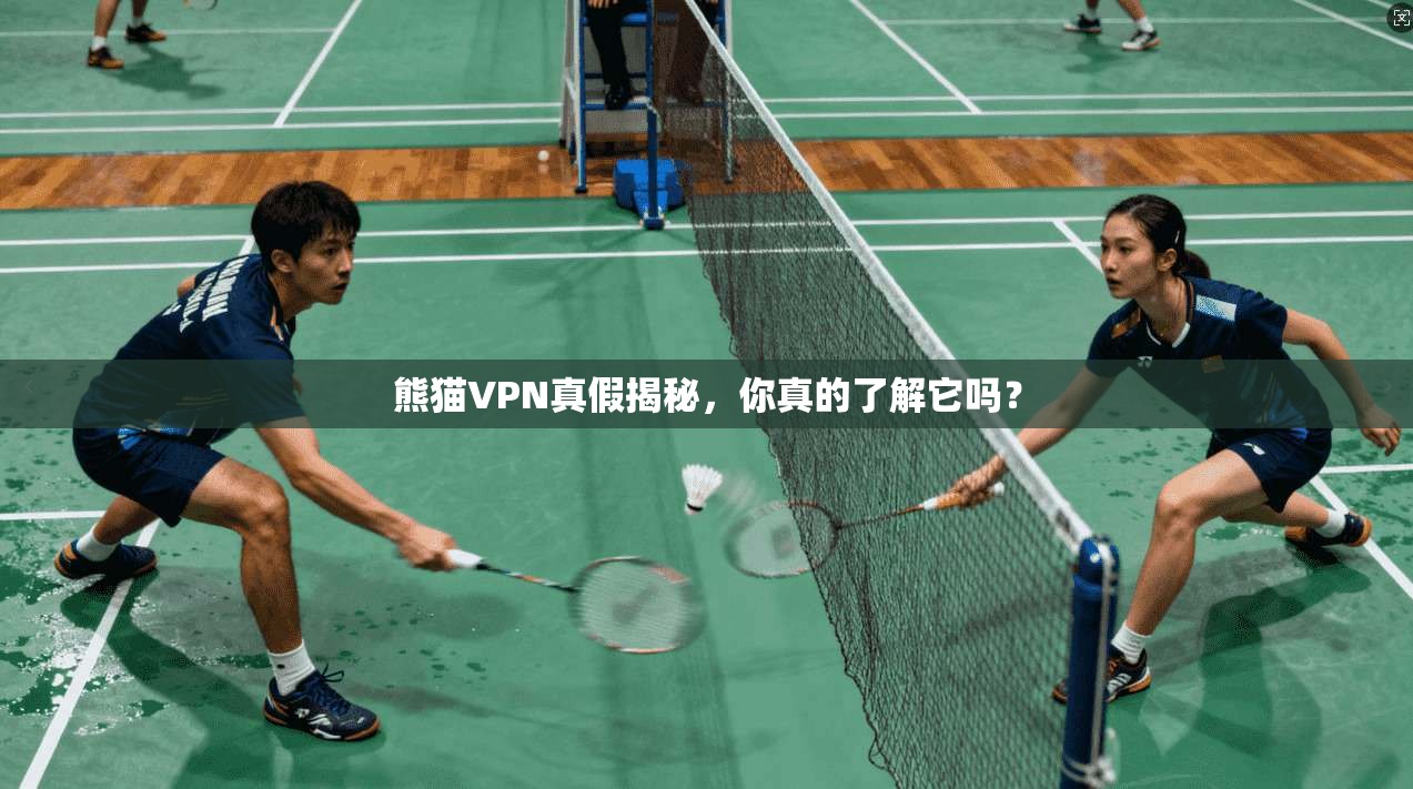 熊猫VPN真假揭秘，你真的了解它吗？