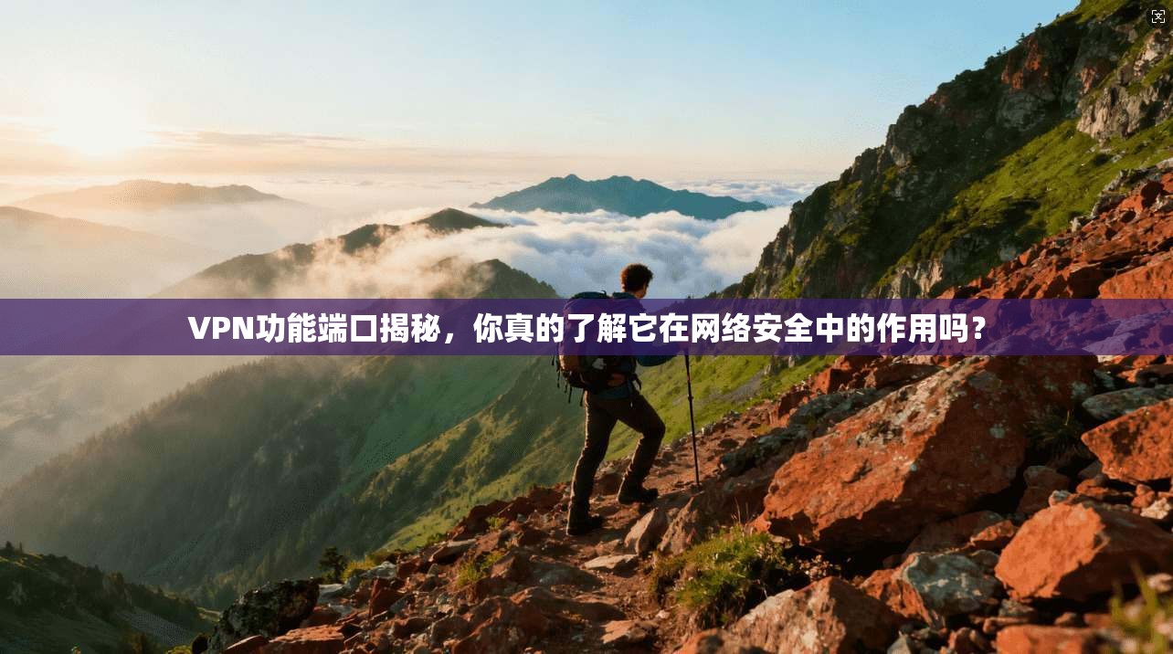 VPN功能端口揭秘，你真的了解它在网络安全中的作用吗？