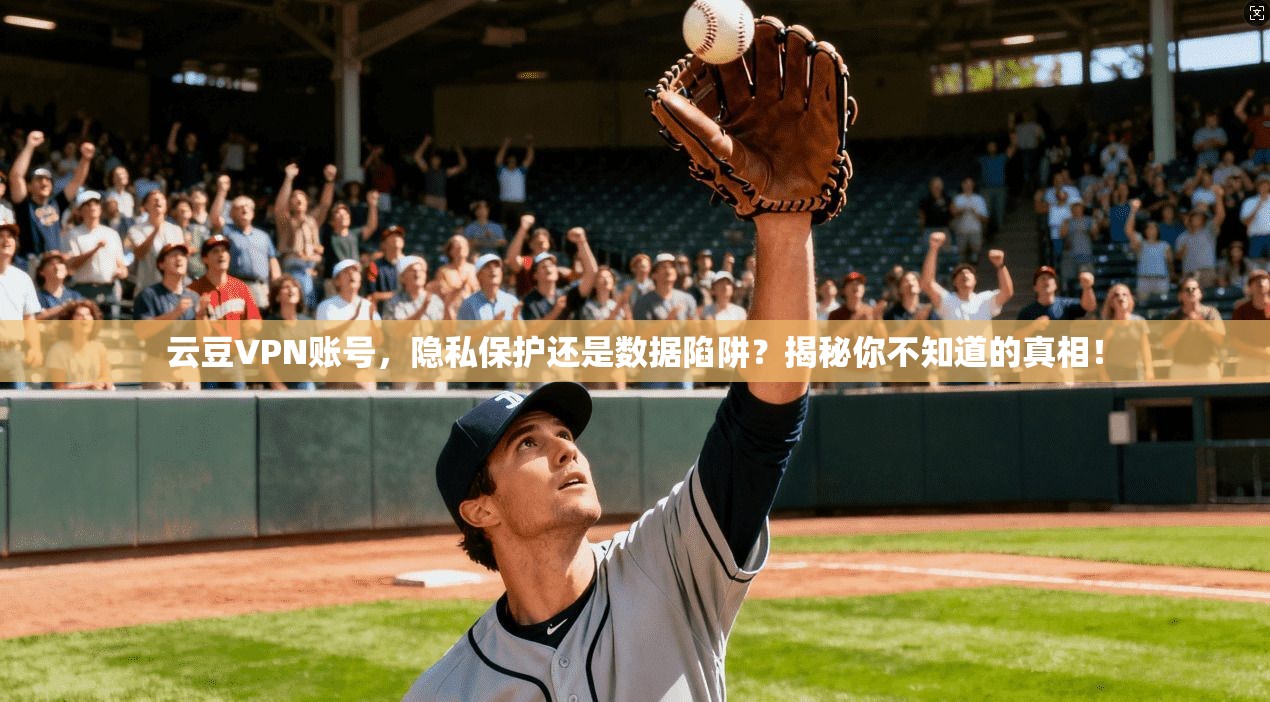 云豆VPN账号，隐私保护还是数据陷阱？揭秘你不知道的真相！