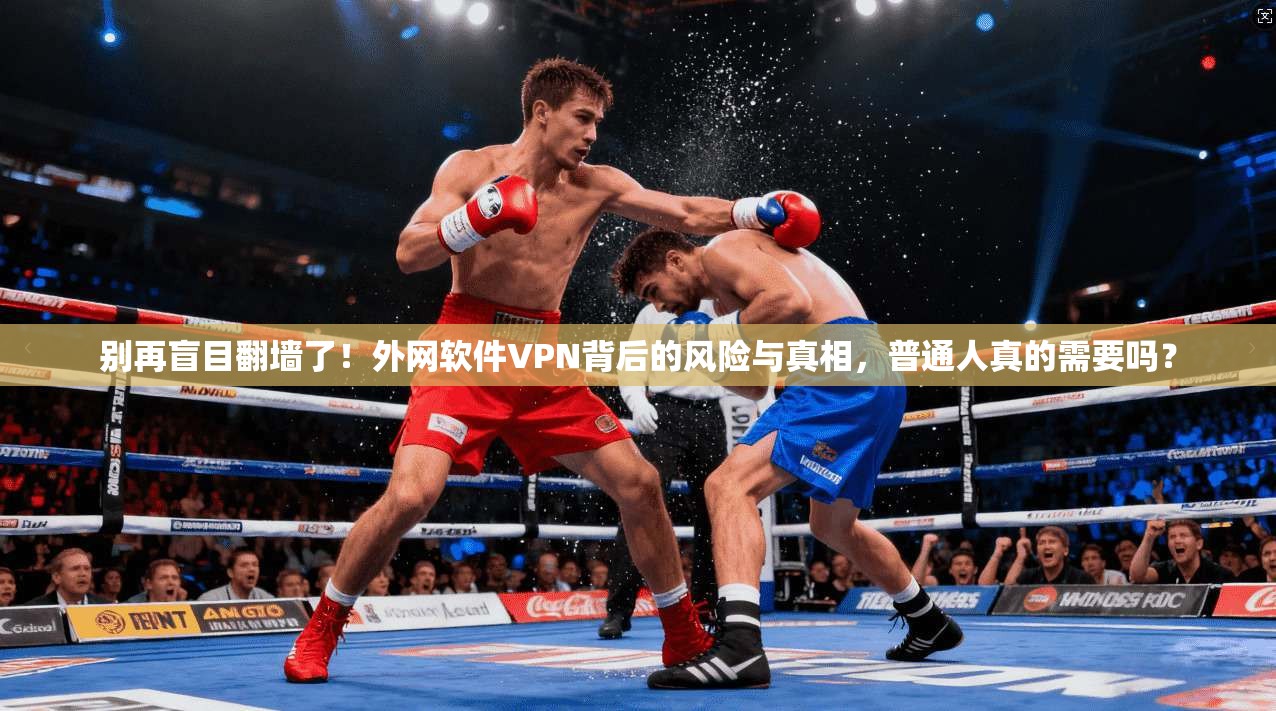 别再盲目翻墙了!外网软件VPN背后的风险与真相,普通人真的需要吗?