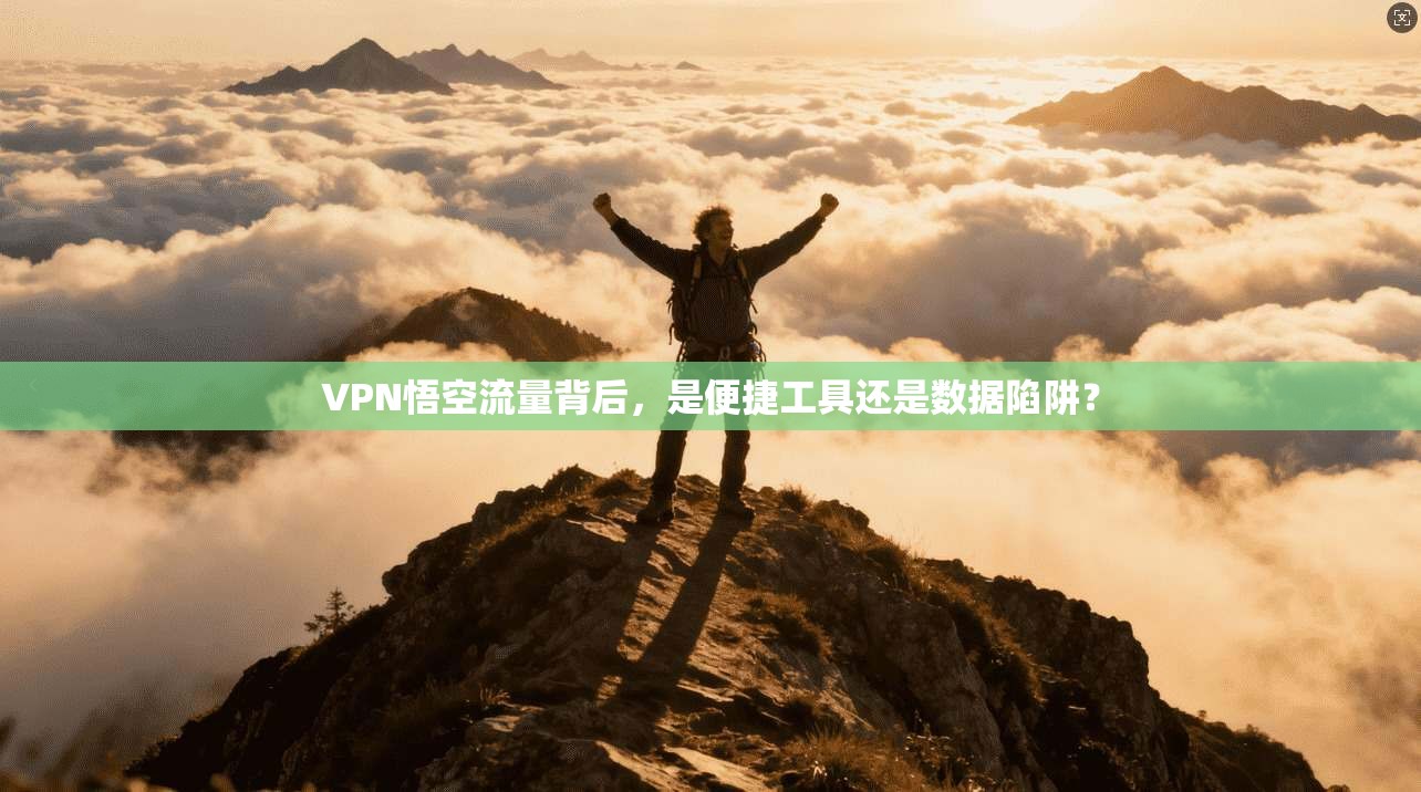 VPN悟空流量背后,是便捷工具还是数据陷阱?