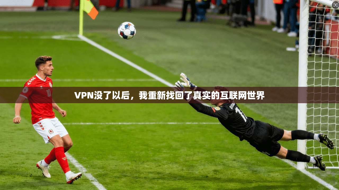 VPN没了以后，我重新找回了真实的互联网世界