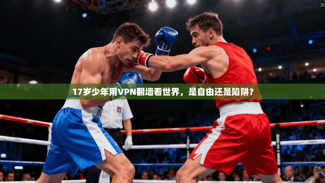 17岁少年用VPN翻墙看世界,是自由还是陷阱?