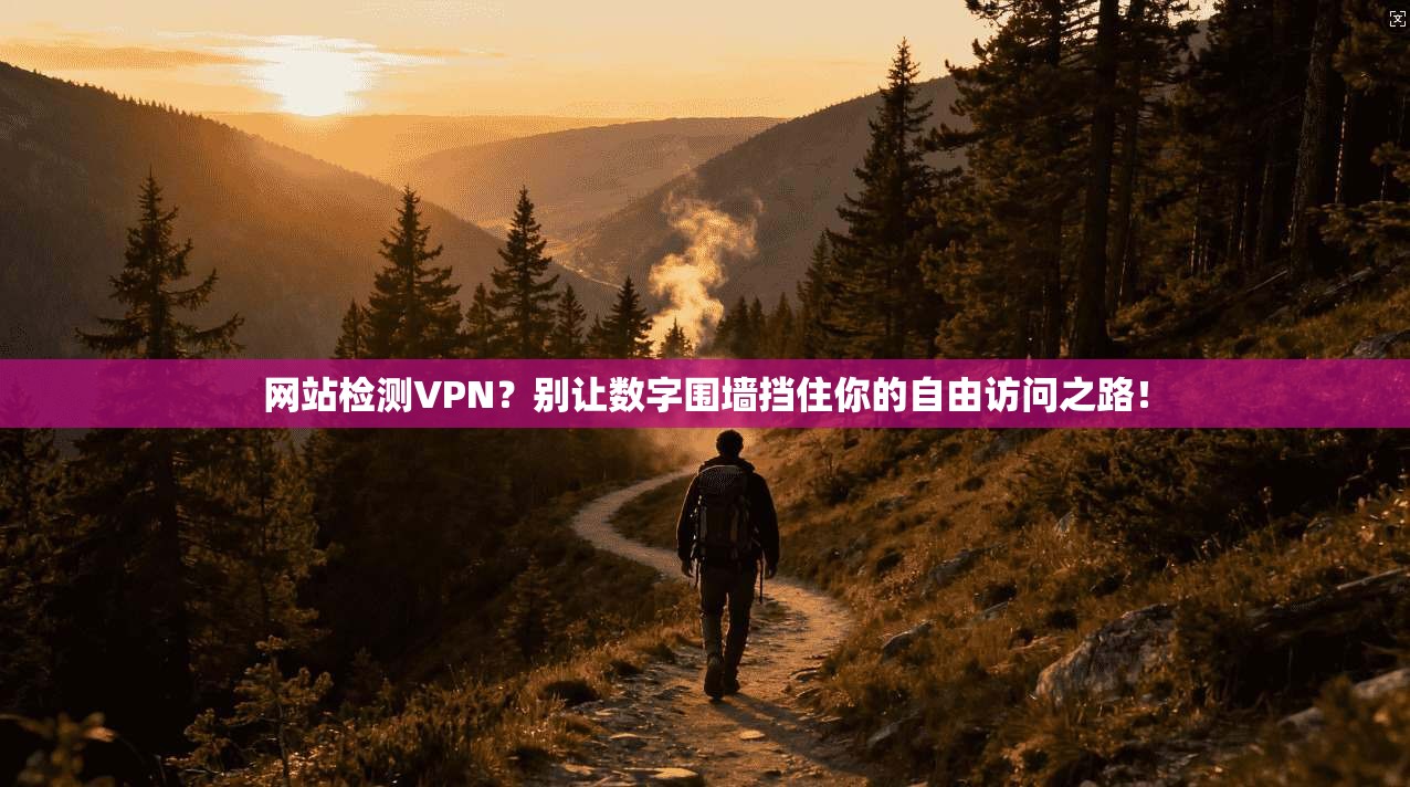 网站检测VPN?别让数字围墙挡住你的自由访问之路!