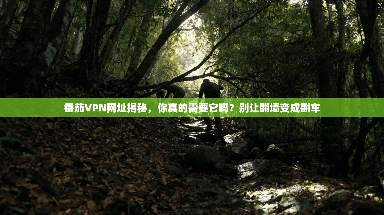 番茄VPN网址揭秘，你真的需要它吗？别让翻墙变成翻车