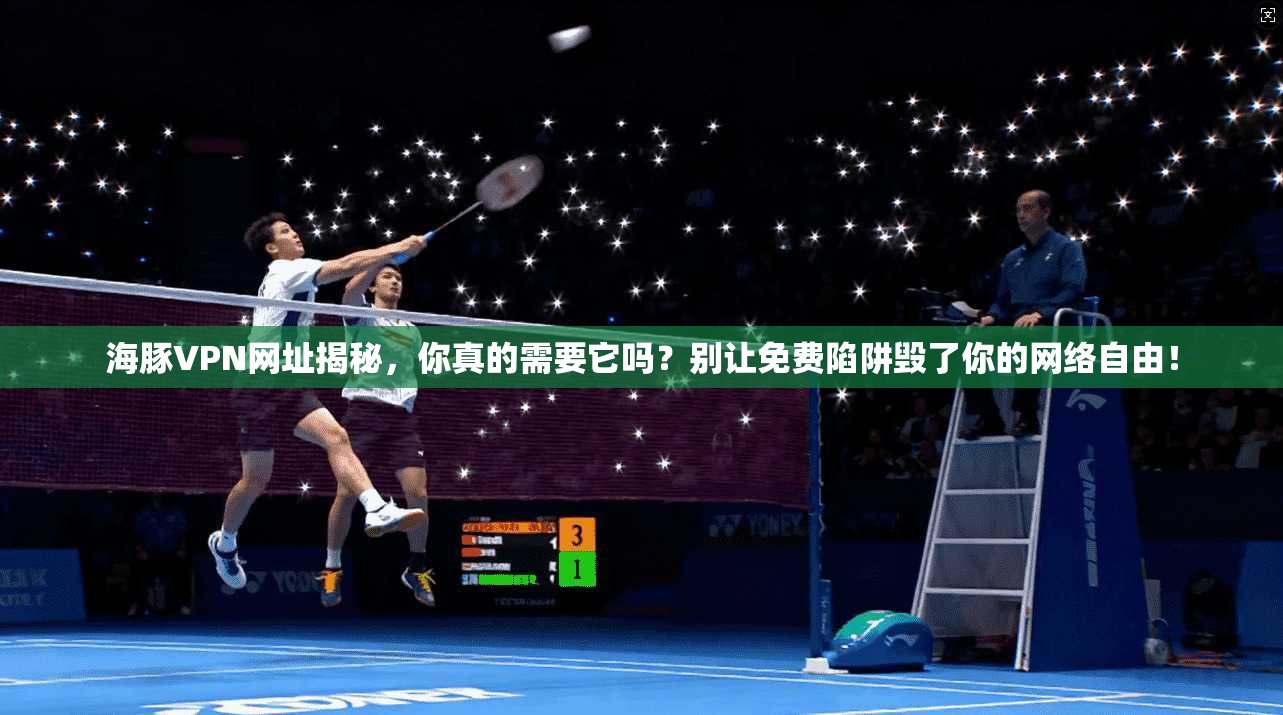 海豚VPN网址揭秘，你真的需要它吗？别让免费陷阱毁了你的网络自由！