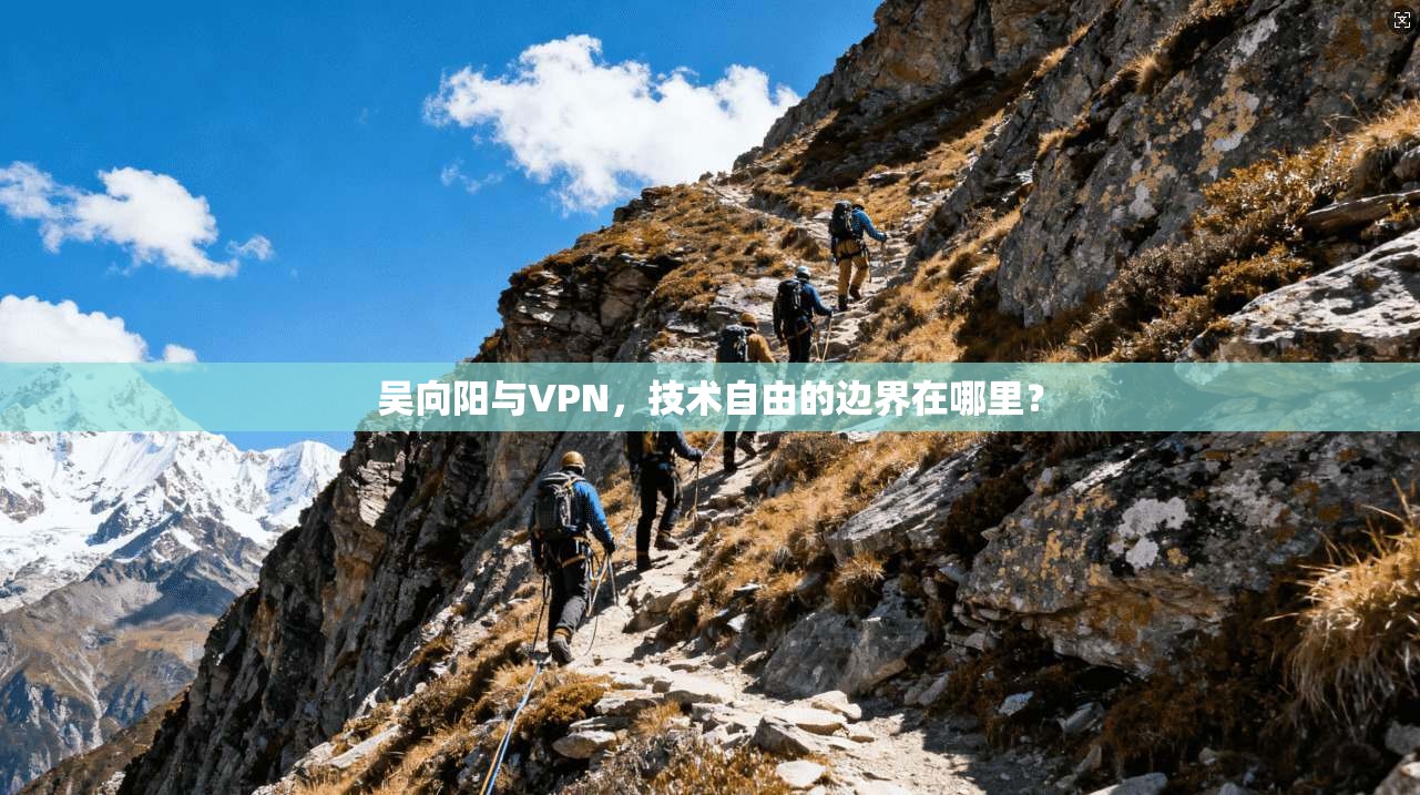 吴向阳与VPN，技术自由的边界在哪里？