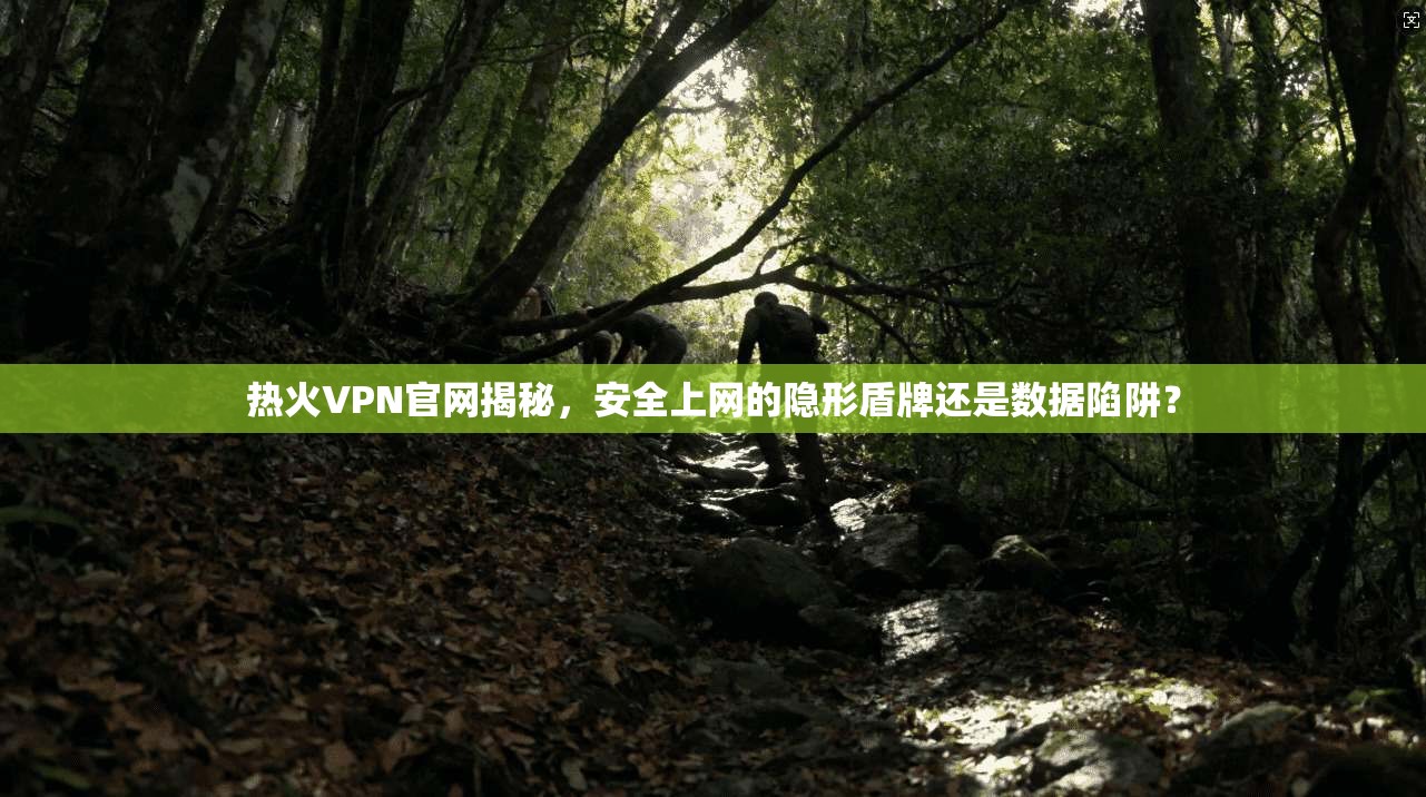 热火VPN官网揭秘，安全上网的隐形盾牌还是数据陷阱？