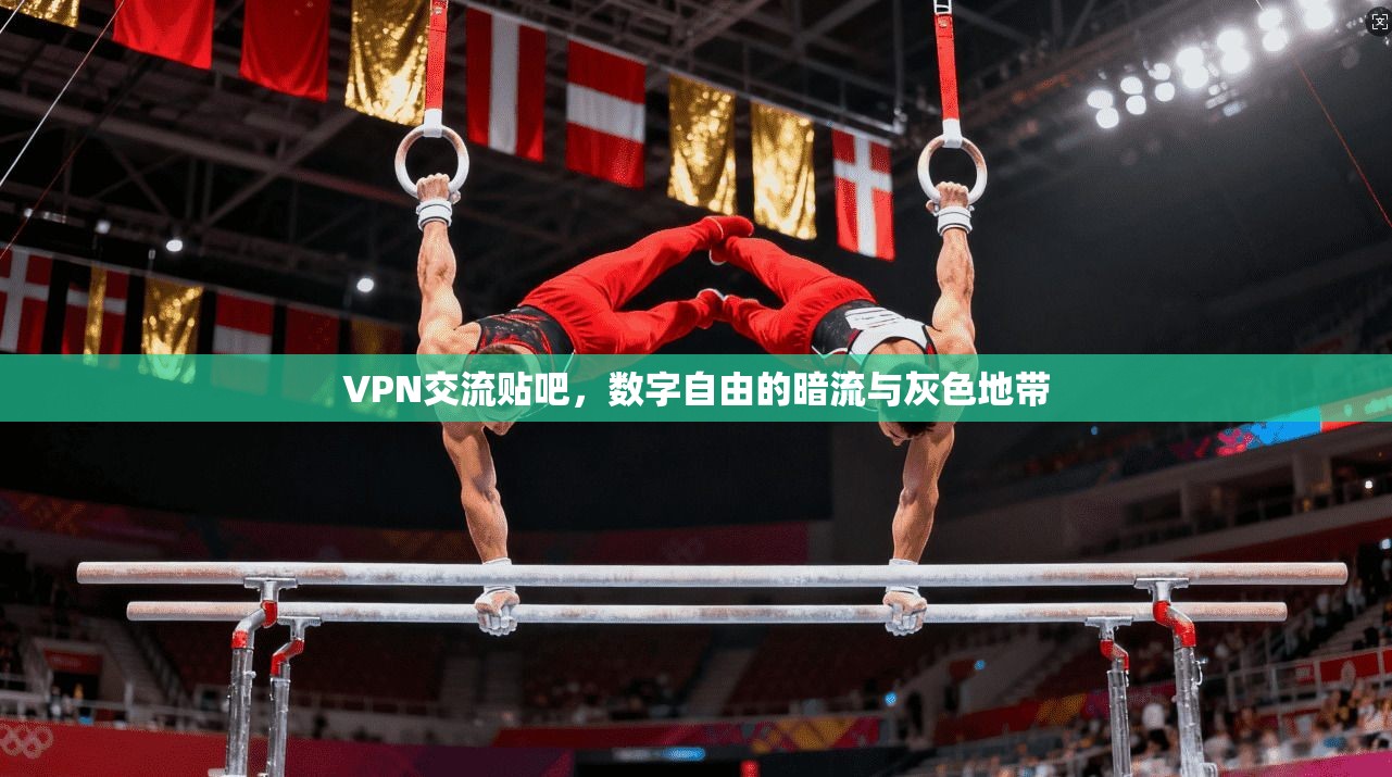 VPN交流贴吧,数字自由的暗流与灰色地带