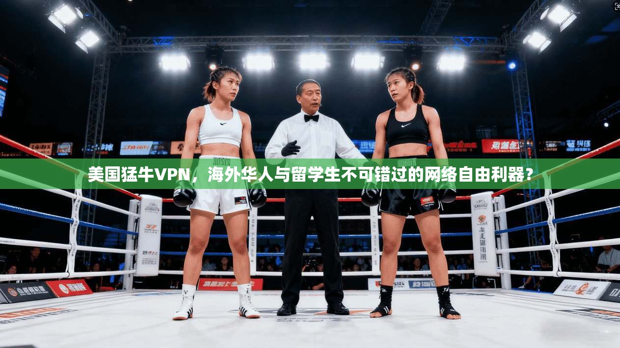 美国猛牛VPN，海外华人与留学生不可错过的网络自由利器？