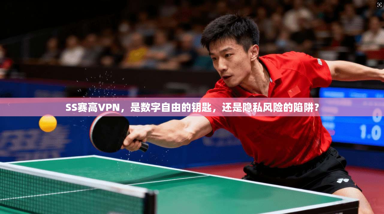 SS赛高VPN，是数字自由的钥匙，还是隐私风险的陷阱？