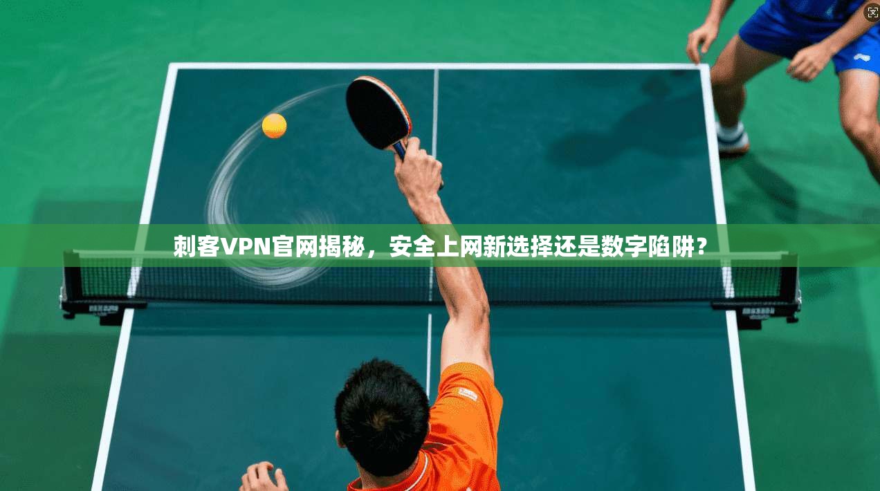 刺客VPN官网揭秘,安全上网新选择还是数字陷阱?