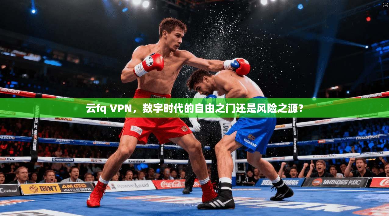 云fq VPN，数字时代的自由之门还是风险之源？