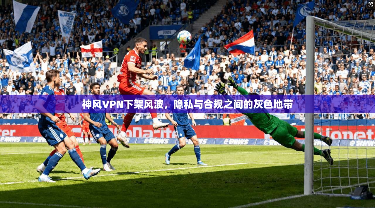 神风VPN下架风波,隐私与合规之间的灰色地带
