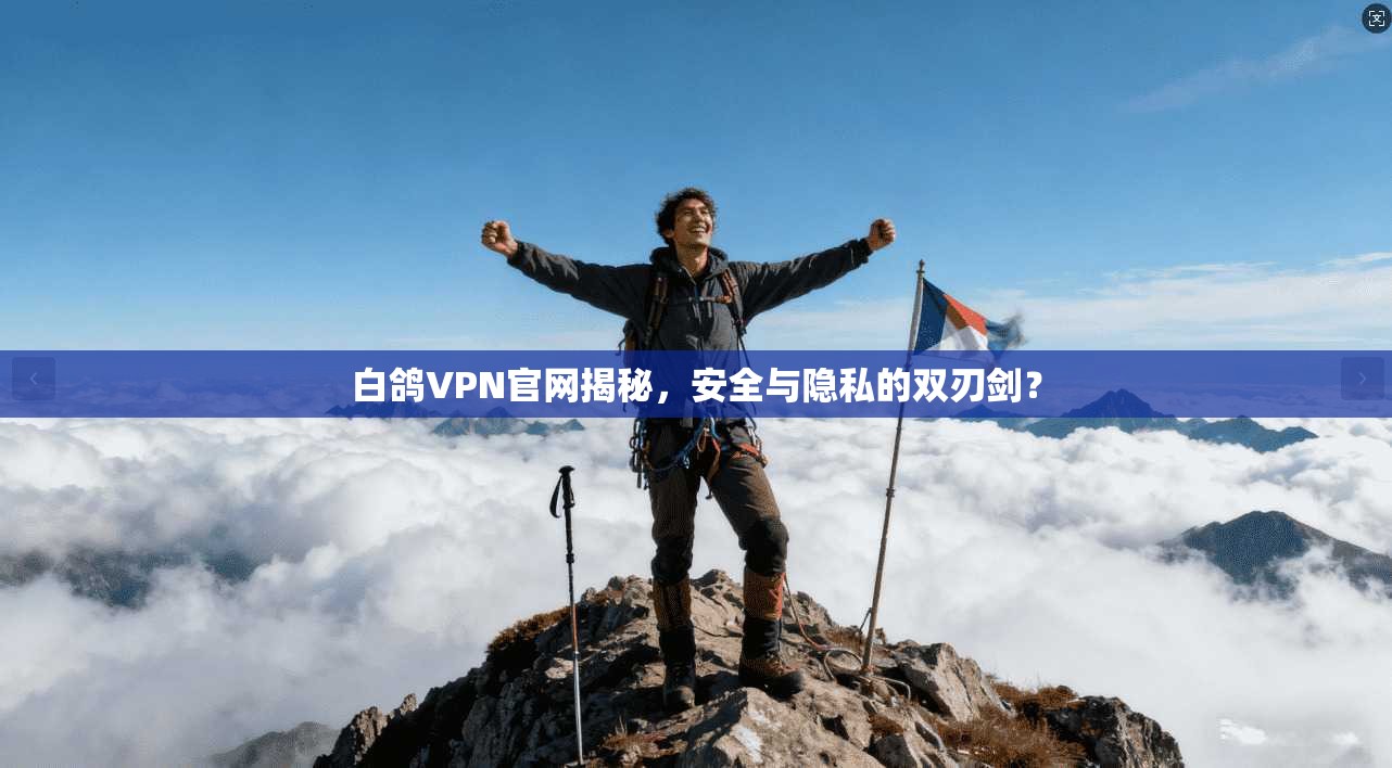 白鸽VPN官网揭秘,安全与隐私的双刃剑?