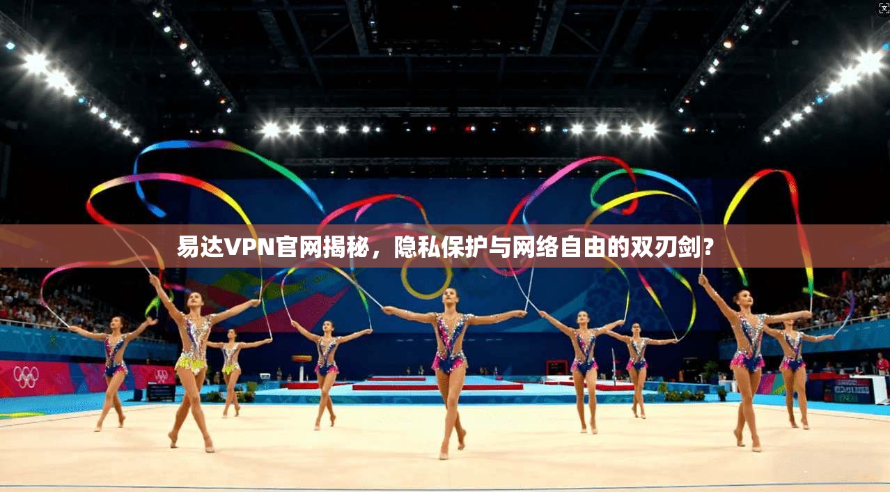 易达VPN官网揭秘,隐私保护与网络自由的双刃剑?