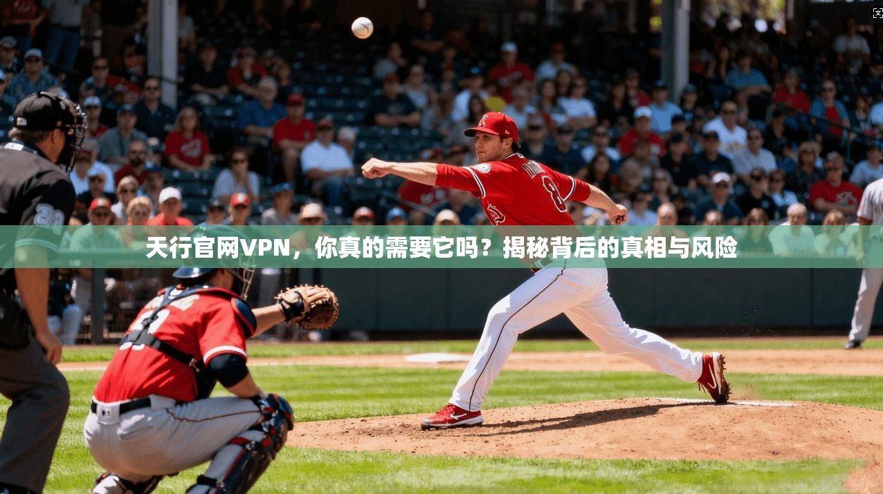 天行官网VPN，你真的需要它吗？揭秘背后的真相与风险