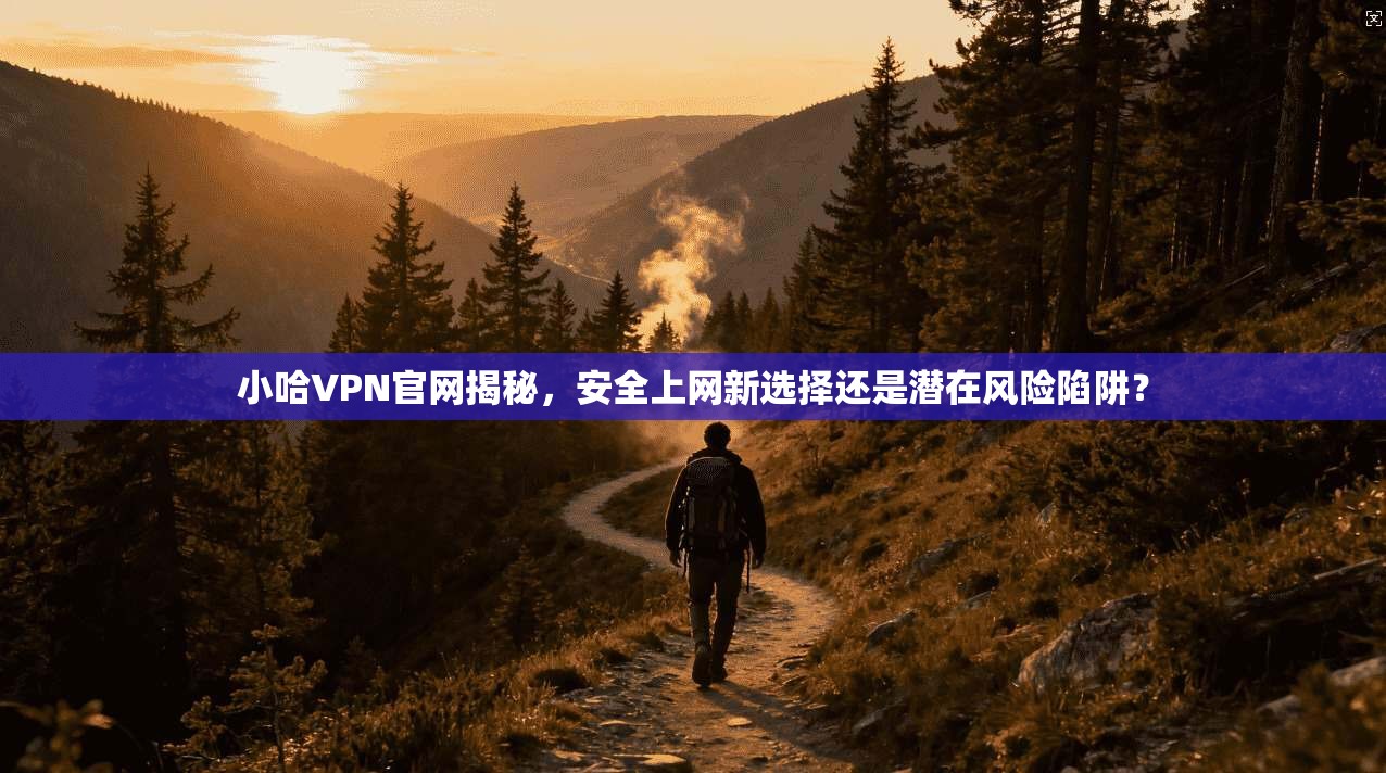小哈VPN官网揭秘，安全上网新选择还是潜在风险陷阱？
