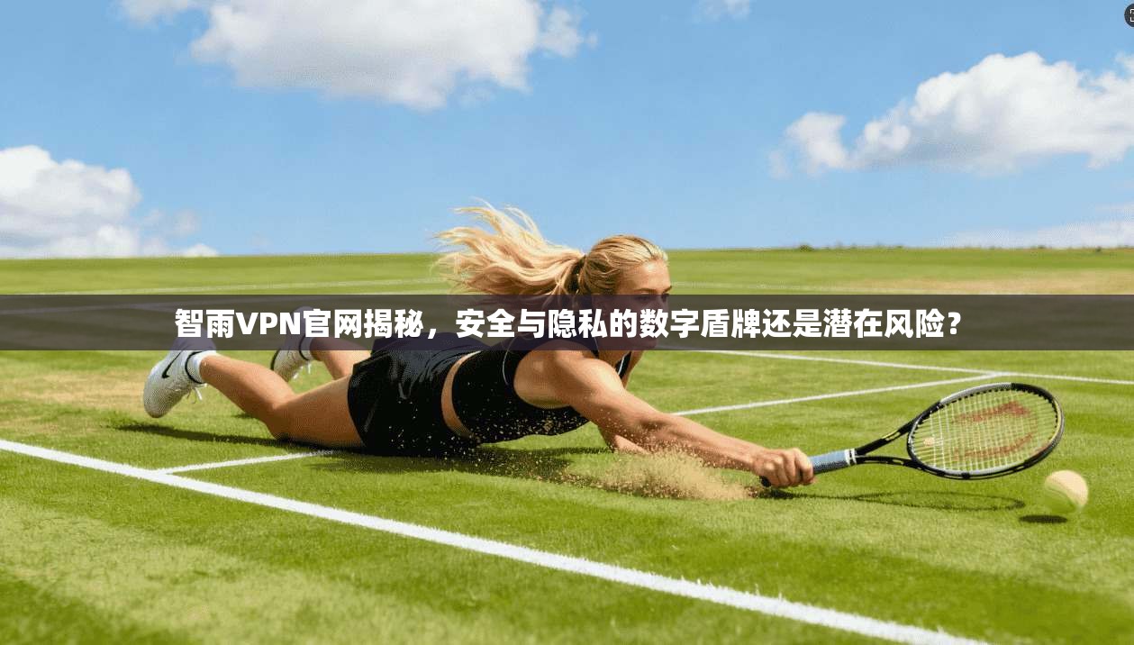 智雨VPN官网揭秘，安全与隐私的数字盾牌还是潜在风险？