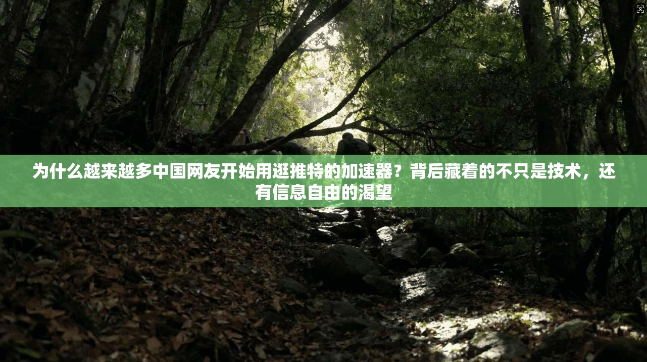 为什么越来越多中国网友开始用逛推特的加速器？背后藏着的不只是技术，还有信息自由的渴望
